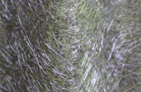 Duncote fibreglass roof work